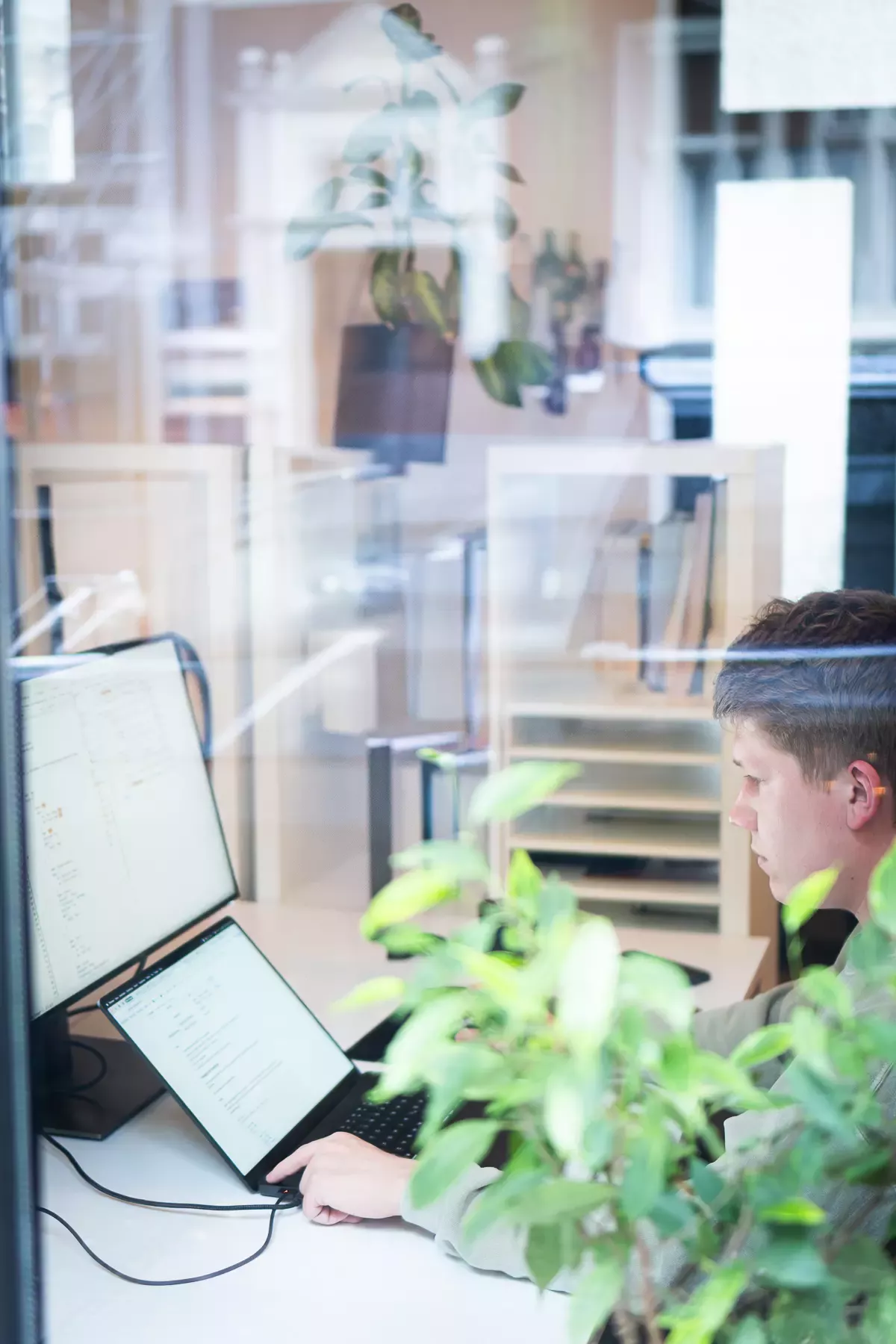 Maxi sitzt am Schreibtisch vor zwei Monitoren, arbeitet konzentriert am Laptop, im Vordergrund eine grüne Pflanze, Blick durch Glaswand ins Büro