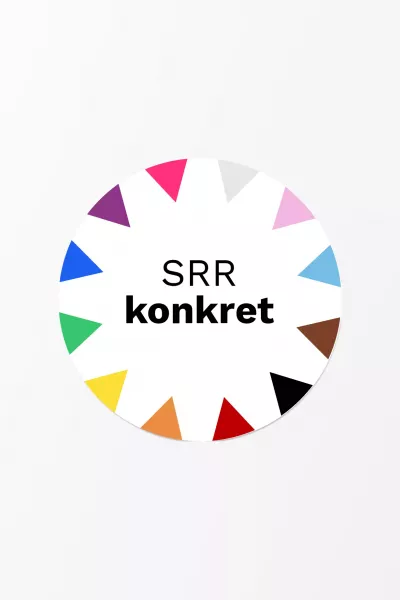 Rundes Logo mit bunten Dreiecken am Rand, in der Mitte schwarzer Text \